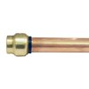 Tectite By Apollo 1/2 in. Brass Push-to-Connect Cap FSBCAP12